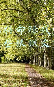 抖音你拼命赚钱的样子虽然有些狼狈文字图片