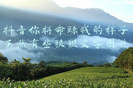 抖音你拼命赚钱的样子虽然有些狼狈文字图片