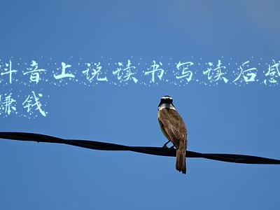 读书目录及读后感言(「路安读书2」《百岁人生》《时间简史》《硅谷之谜》读后感)