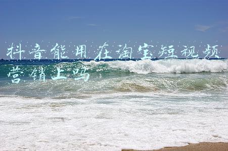 淘宝主图视频能盗用吗(如何保护“主图”不被人盗用，这是很多新手卖家都不知道的工具)