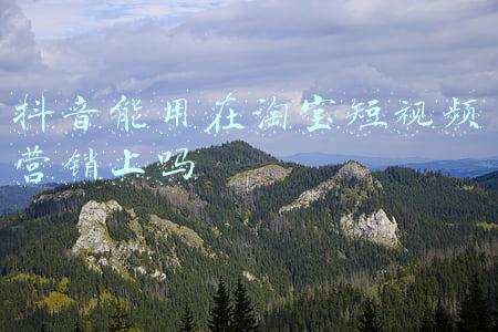 抖音能用在淘宝短视频营销上吗