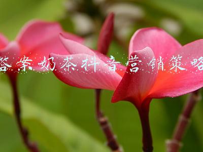 答案奶茶抖音营销策略
