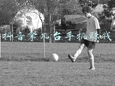 抖音拿几台手机赚钱
