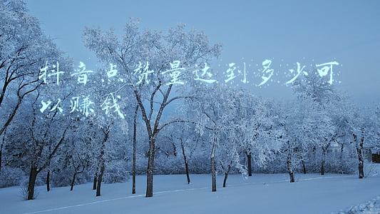 抖音点赞量达到多少可以赚钱