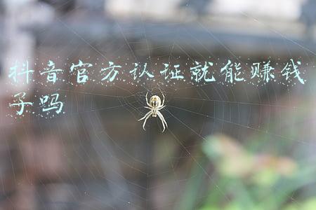 抖音官方认证就能赚钱了吗