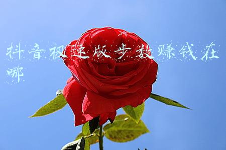 手机步数赚钱(微信运动里的步数别浪费，有人已经用来“赚钱”了)