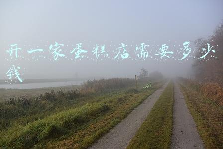 开一家蛋糕店大概需要多少钱(开一个蛋糕店大概需要多少钱?)