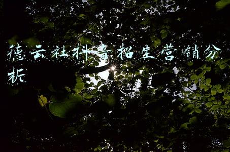 德云社招生要求及学费(大逗相声学费9880元，德云社学费2万元，曲艺界人才竞争太激烈)