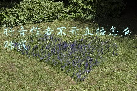 知乎作者怎么赚钱(写作者利用「知乎」能赚多少钱？)