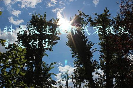 抖音极速版赚钱不提现到支付宝