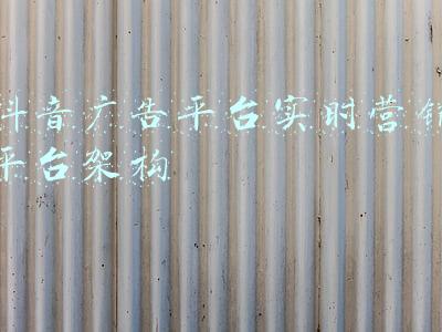 抖音广告平台实时营销平台架构