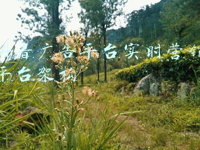 抖音广告平台实时营销平台架构