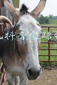 玩仙侠手游能赚钱吗(游戏赚钱如此轻松：DNF做商人，这款仙侠坐着摸鱼也能赚钱？)