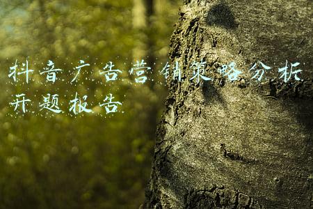 市场营销策略开题报告(财务管理专开题报告写作指导)