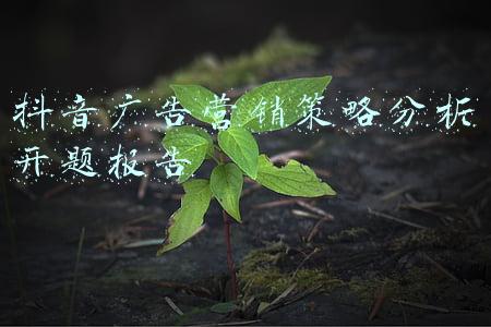 品牌营销策略开题报告(基于java（springboot框架）的购物商城系统 开题报告)