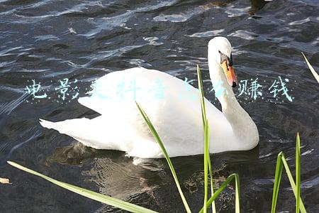 电影类抖音怎么赚钱