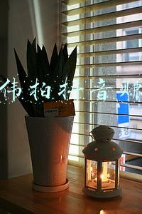 张国伟拍抖音赚钱吗