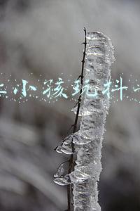 如何让小孩不玩手机(孩子沉迷于玩手机，家长这样做，让孩子主动放下手机)