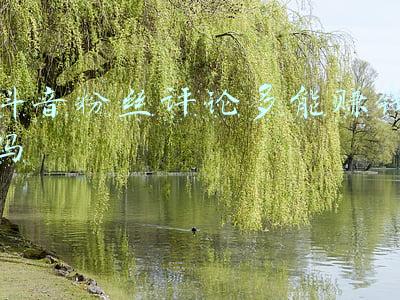 种牙最多能种多少颗(种牙无需缺一种一：种4~6颗即可恢复半口牙，费用省一半！)