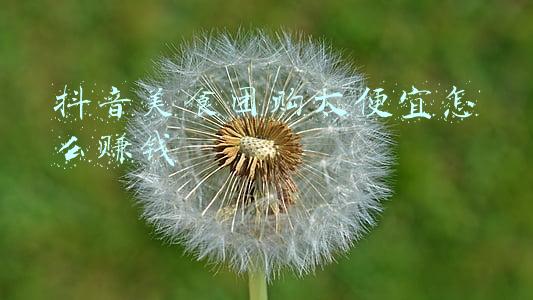 成都美食团购(吃喝玩乐｜一份建设路美食攻略·吃香喝辣)