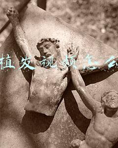 fue植发视频(明天是爱发日，你秃了吗？围观植发全过程，还有人把腿毛当眉毛用)