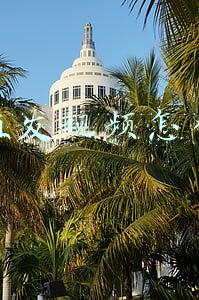 三毛植发视频(“三毛”长大了！34岁变帅哥自嘲是过气童星，曾为植发缝300多针)