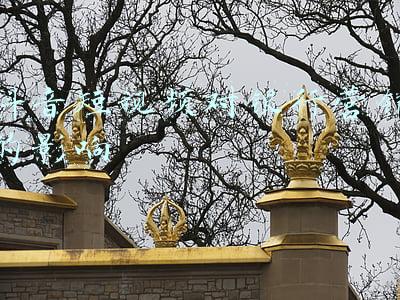 银行短视频(新网银行试水短视频营销，数字化转型还可以这样玩)