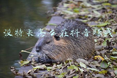 没什么特长找什么工作(准备找工作的人，这3个行业急需人才，待遇好)