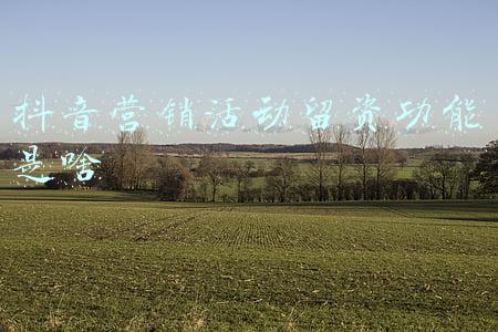 抖音营销活动留资功能是啥