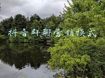 抖音群聊营销模式