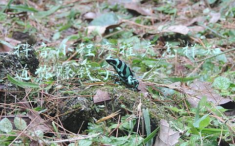 抖音小程序推广怎样知道你赚钱了