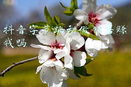 字节跳动的销售好做吗(字节跳动为什么变慢了？)