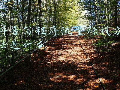 怎么给小程序引流量(关于小程序，你需要明白流量与留量)
