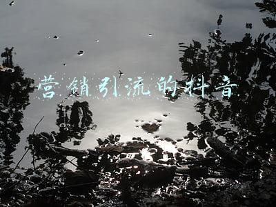 营销引流的抖音