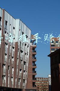 抖音幕后推手(专访｜“抖音一哥”罗永浩背后的推手：让自己最快)