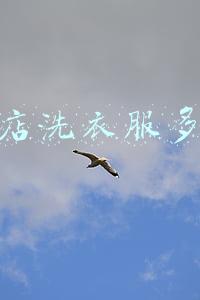 干洗店洗衣服多少钱一件普通短袖(在干洗店洗衣服一件衣服大概多少钱)