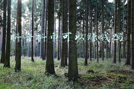 抖音抖币充值官网(抖音海外怎么充值？在国外怎么充值抖币？)