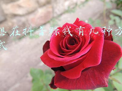 想当然的思维方式后果(警惕思维上的“想当然”)