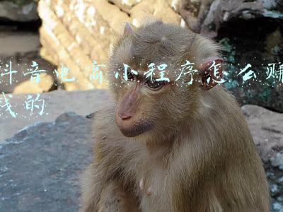电商小程序加盟赚钱(加盟小程序是可以赚钱吗？前景如何？)