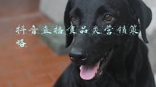 抖音直播食品类营销策略