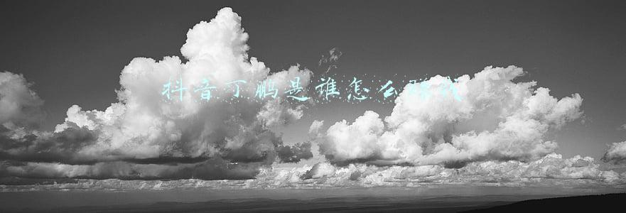 丁鹏抖音(首席投资官丁鹏：一夜暴富总是很难的，但慢慢挣钱相对容易很多)