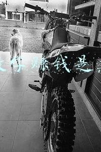 抖音教学赚钱是真的吗