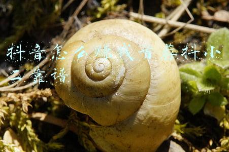 怎么找抖音小二(抖音官方直播基地详情，不看吃亏)