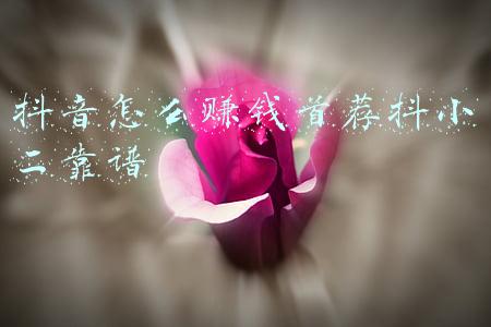 抖音怎么赚钱首荐抖小二靠谱