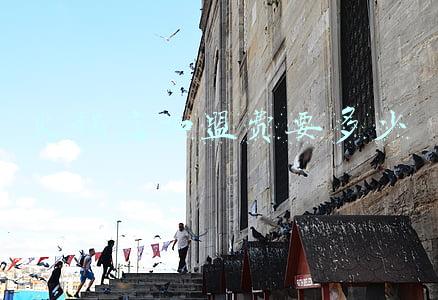 火锅店加盟费大概多少(火锅店加盟费大概多少钱)