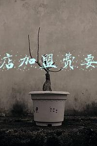 火锅店加盟大概需要多少钱(火锅店加盟费需要多少钱)