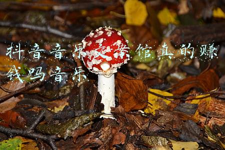 抖音文案馆视频(抖音热门伤感扎心文案最火的伤感视频文案)