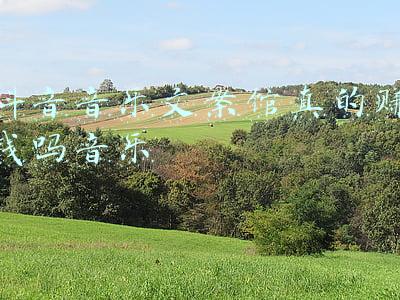 网易云音乐文案馆(网易云文案馆)