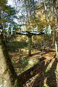 抖音怎样通过播放量赚钱