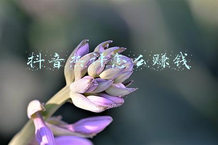 抖音热评助手(阿里、字节纷纷布局“虚拟人”业务，虚拟偶像会给视听产业带来何种新气象？｜钛度热评)